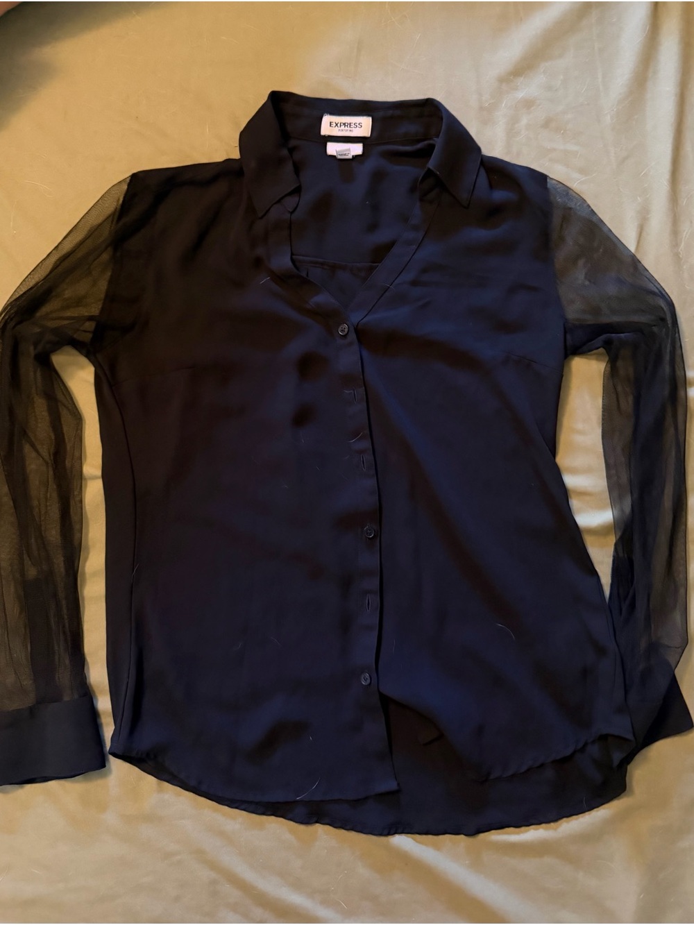 Express Black Blouse With Shear Sleeves
